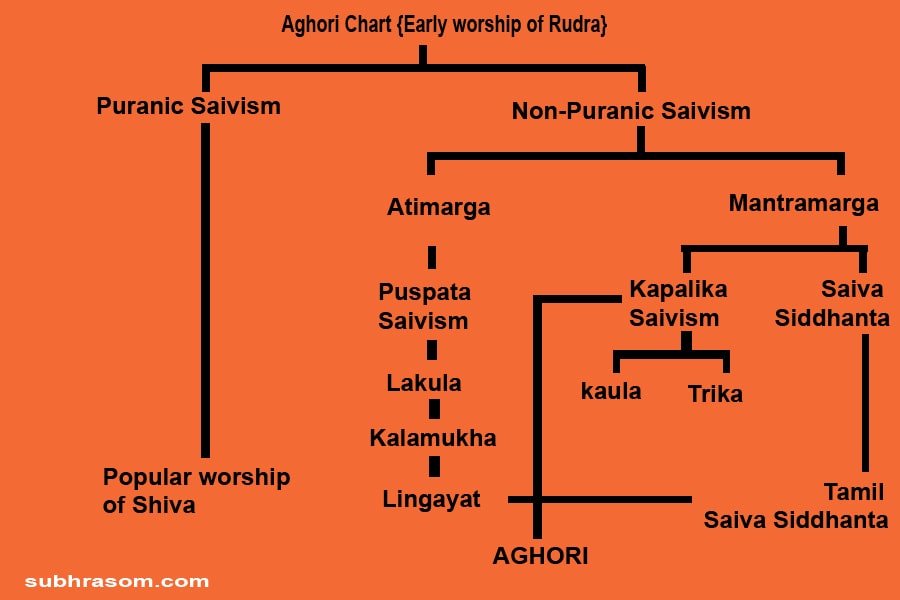 image of aghori sadhus growth chart