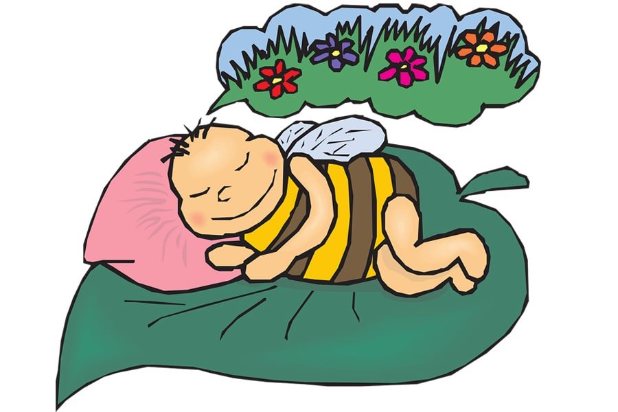 this image about dream