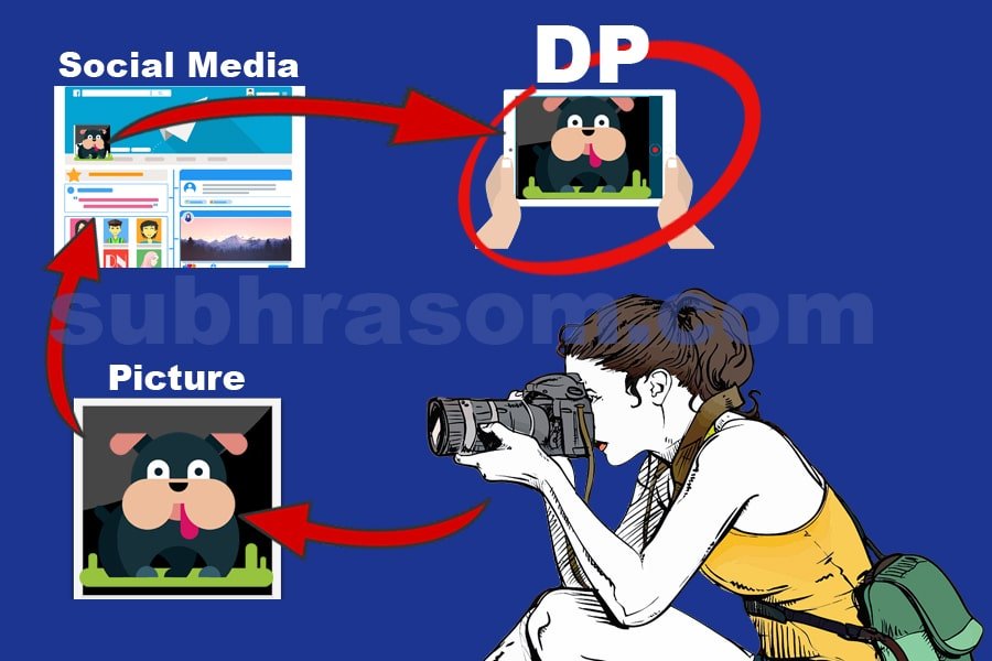 DP steps