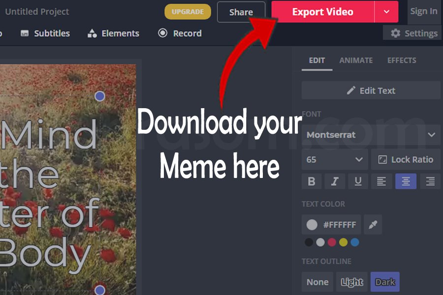 after creating, this is the process to download the videomeme