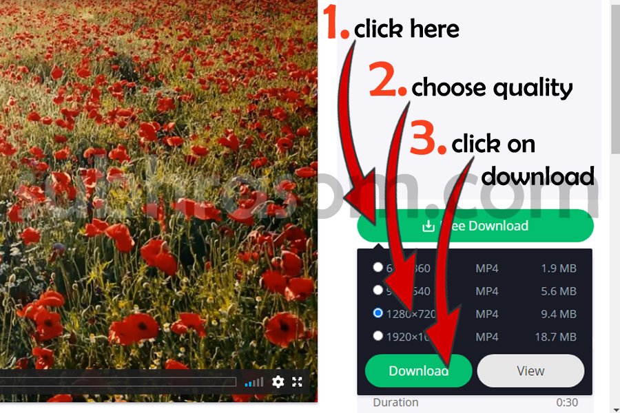Download process of video clip in pixabay
